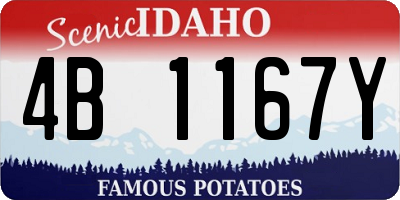 ID license plate 4B1167Y