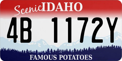 ID license plate 4B1172Y