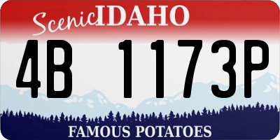ID license plate 4B1173P