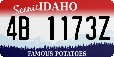 ID license plate 4B1173Z