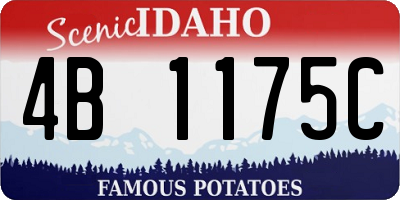 ID license plate 4B1175C