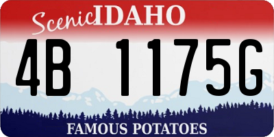 ID license plate 4B1175G