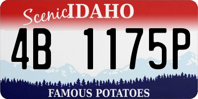 ID license plate 4B1175P