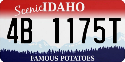 ID license plate 4B1175T