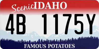 ID license plate 4B1175Y