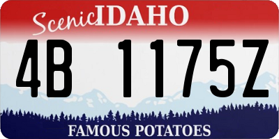 ID license plate 4B1175Z
