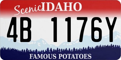 ID license plate 4B1176Y