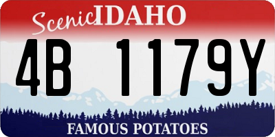 ID license plate 4B1179Y