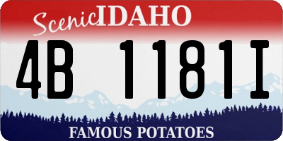 ID license plate 4B1181I