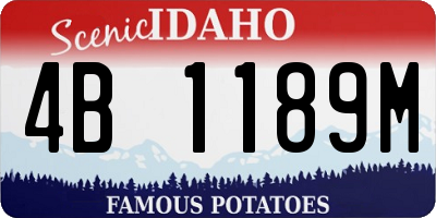 ID license plate 4B1189M