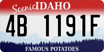 ID license plate 4B1191F