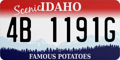 ID license plate 4B1191G