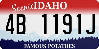 ID license plate 4B1191J
