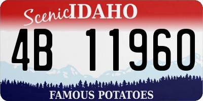 ID license plate 4B1196O