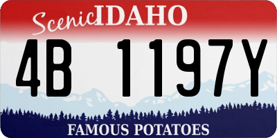 ID license plate 4B1197Y