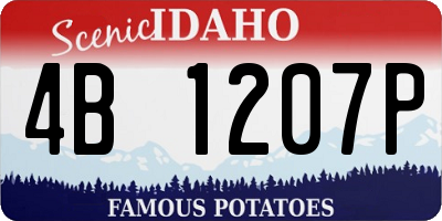 ID license plate 4B1207P