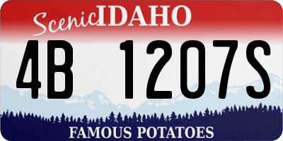 ID license plate 4B1207S