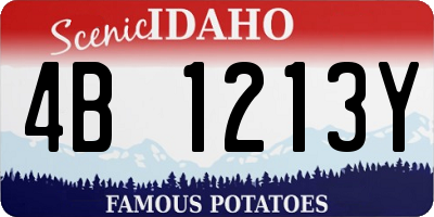 ID license plate 4B1213Y