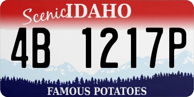 ID license plate 4B1217P
