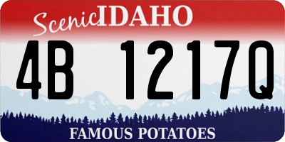 ID license plate 4B1217Q