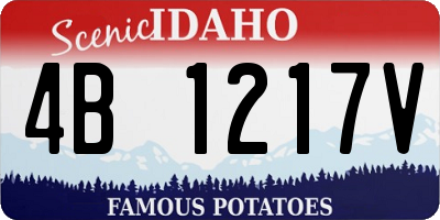 ID license plate 4B1217V