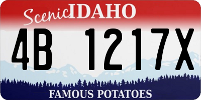 ID license plate 4B1217X