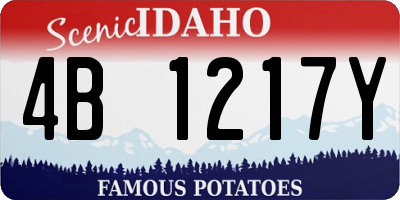 ID license plate 4B1217Y