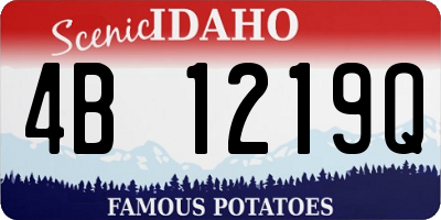 ID license plate 4B1219Q