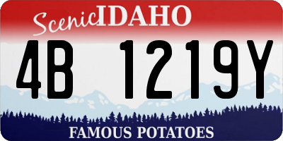 ID license plate 4B1219Y