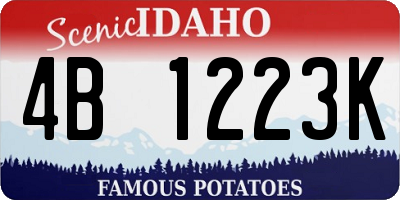ID license plate 4B1223K