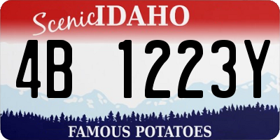 ID license plate 4B1223Y
