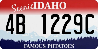 ID license plate 4B1229C