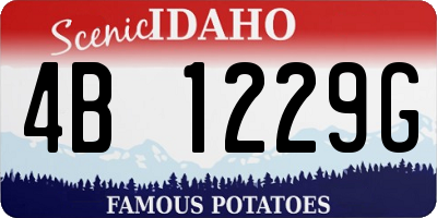 ID license plate 4B1229G