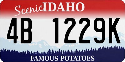 ID license plate 4B1229K