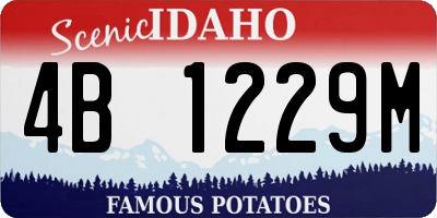 ID license plate 4B1229M