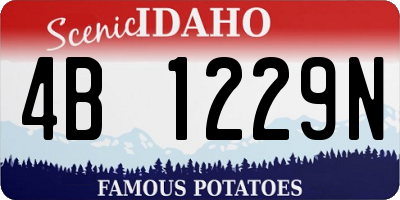 ID license plate 4B1229N