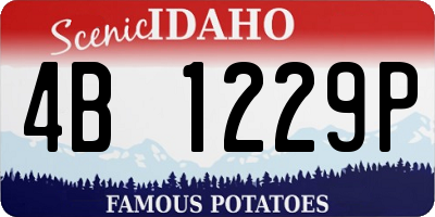 ID license plate 4B1229P