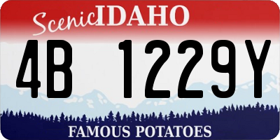 ID license plate 4B1229Y