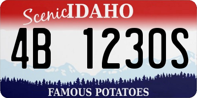 ID license plate 4B1230S