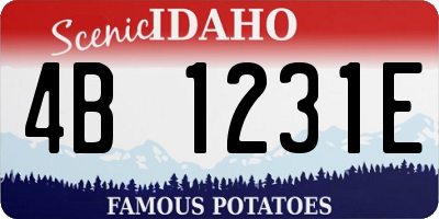 ID license plate 4B1231E
