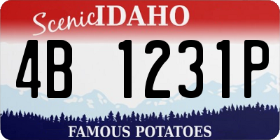 ID license plate 4B1231P