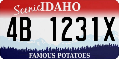 ID license plate 4B1231X