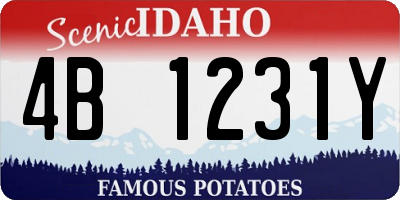 ID license plate 4B1231Y