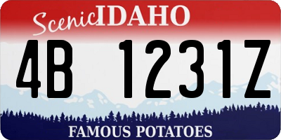 ID license plate 4B1231Z