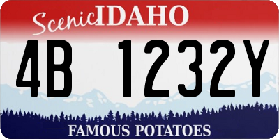ID license plate 4B1232Y