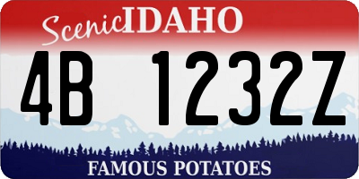 ID license plate 4B1232Z
