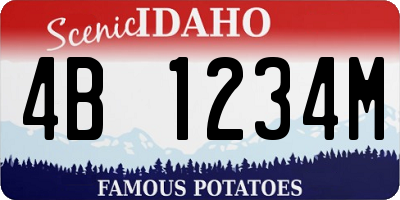 ID license plate 4B1234M