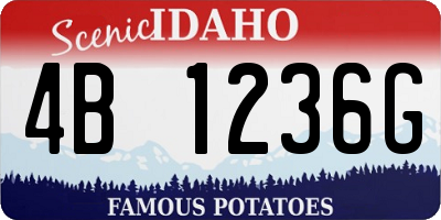 ID license plate 4B1236G