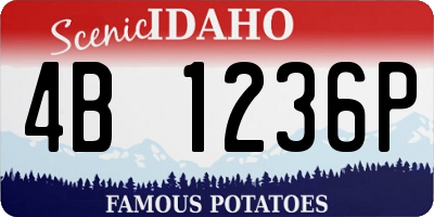 ID license plate 4B1236P