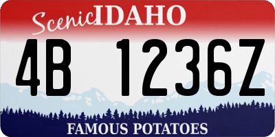 ID license plate 4B1236Z